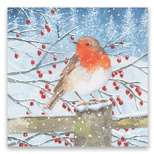 Animals Mixed Boxset Charity Christmas Cards- 20 Pack