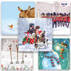 Bestsellers Mixed Boxset Charity Christmas Cards - 20 pack