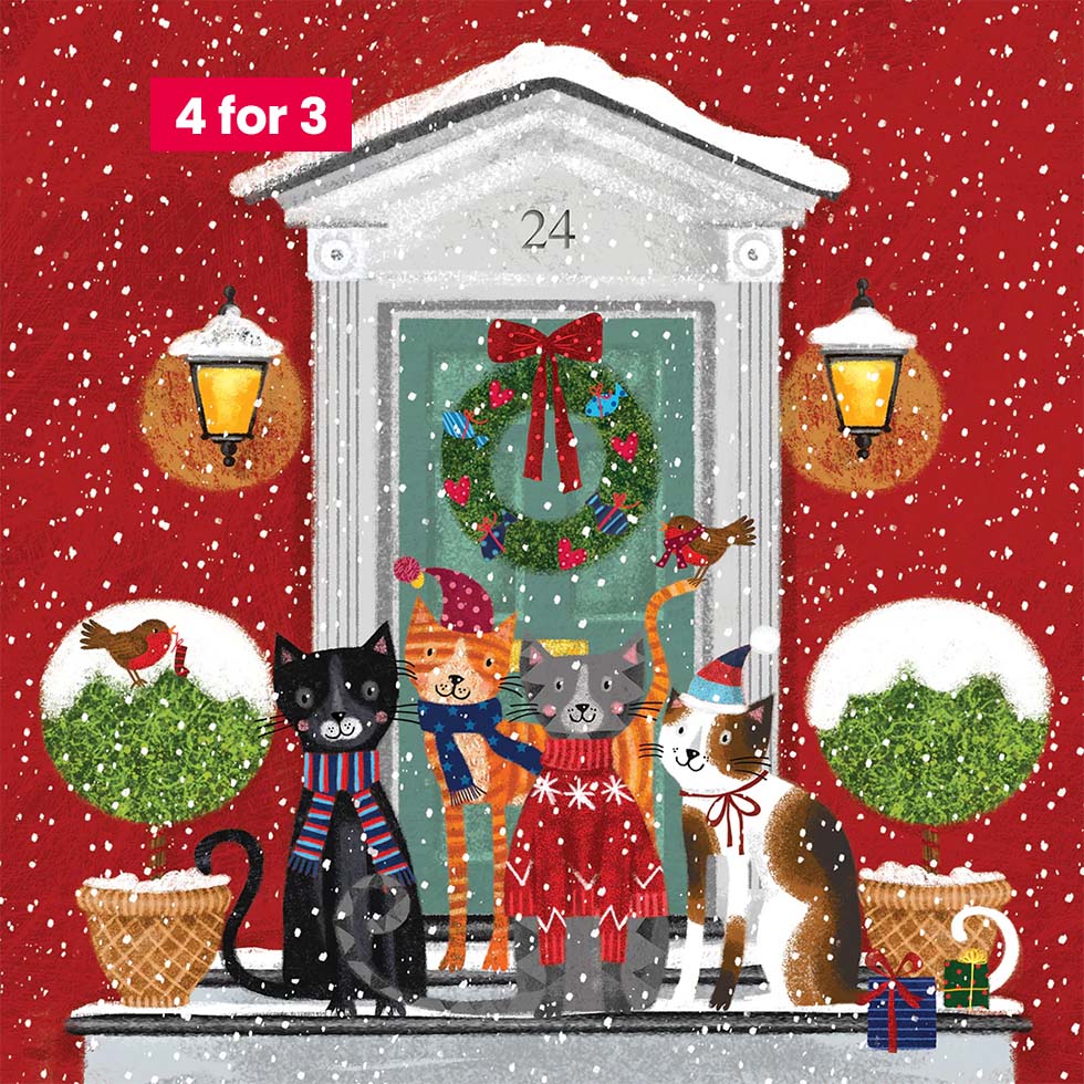 Charity Christmas Cards - Winter Cats 10pk
