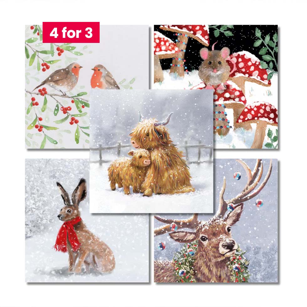 Charity Christmas Cards - Winter Animals 20pk