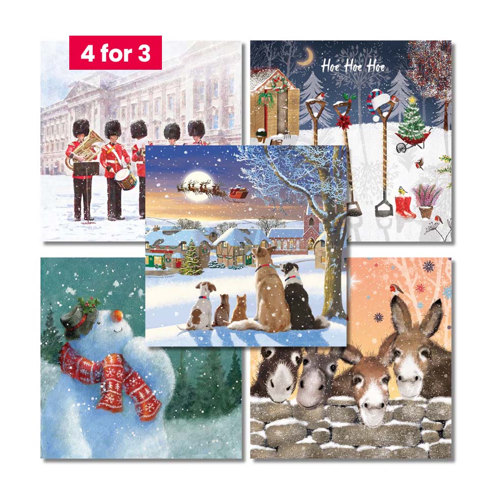 Charity Christmas Cards - Bestsellers Boxset