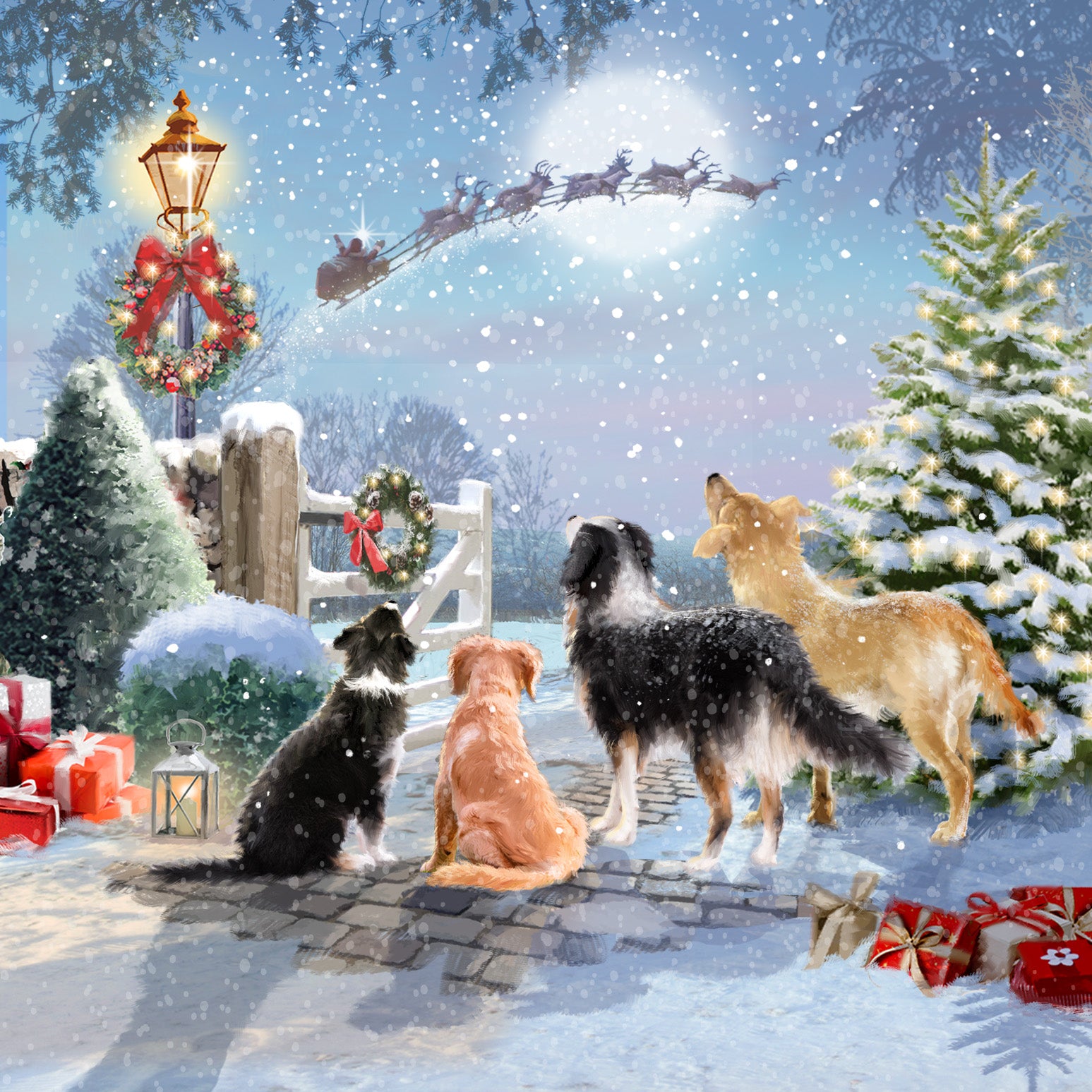 Help for Heroes Christmas card featuring a touching scene of Santa flying overhead, as dogs watch in wonder.