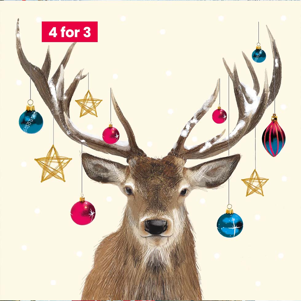 Charity Christmas Cards - Festive Deer 10pk