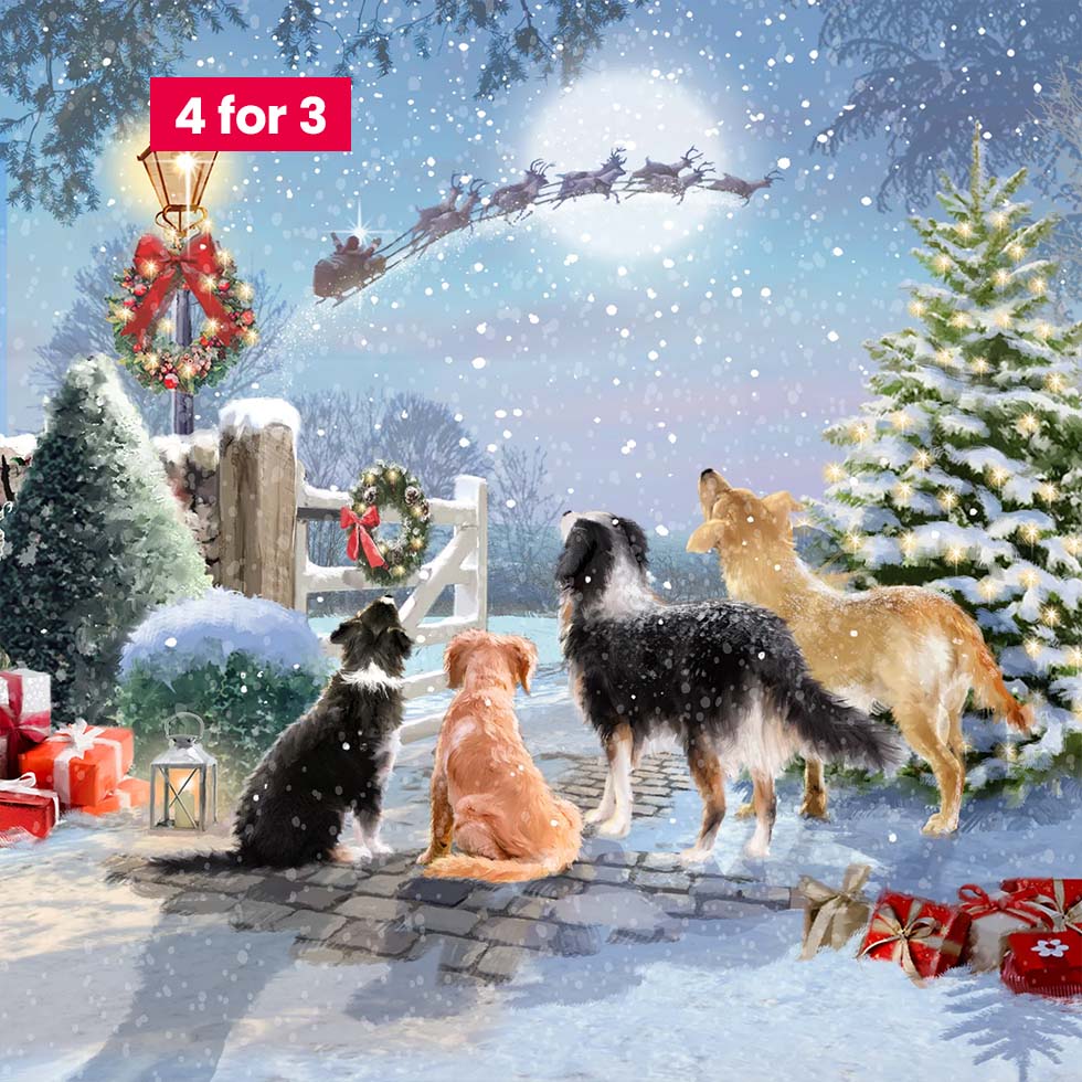 Charity Christmas Cards - Dogs 10pk