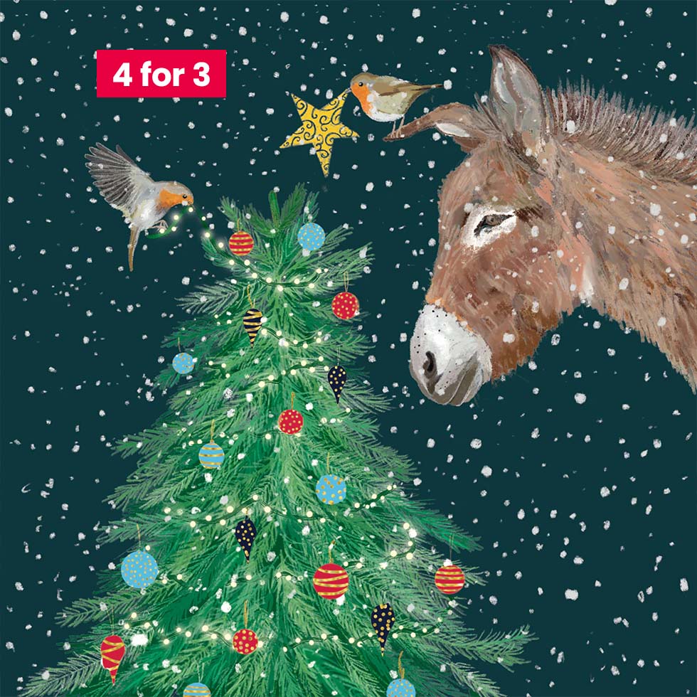Charity Christmas Cards - Donkey 10pk
