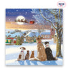 Dogs Watching Santa Charity Christmas Cards - 10 Pack