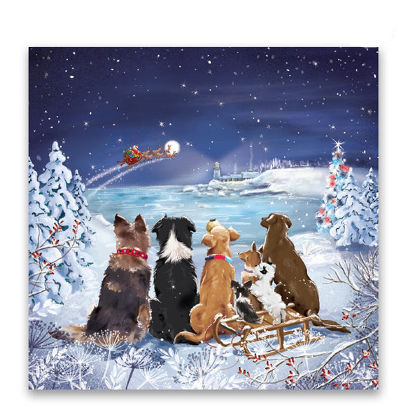 Help for Heroes Dogs Watching Santa Charity Christmas Cards - Pack of 10