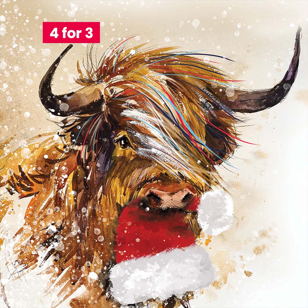 Charity Christmas Cards - Highland Cow 10pk