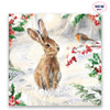 Hare and Robin Charity Christmas Cards - 10 pack