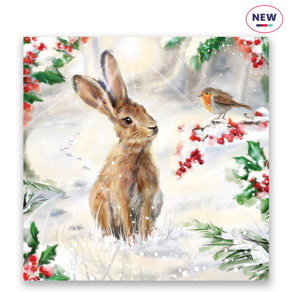 Hare and Robin Charity Christmas Cards - 10 pack