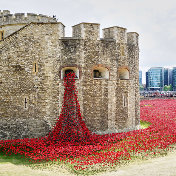 Ceramic Remembrance Poppy