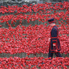 Ceramic Remembrance Poppy