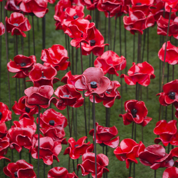 Ceramic Remembrance Poppy