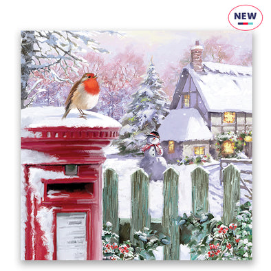 Robin and Postbox Scene Charity Christmas Cards - 10 Pack