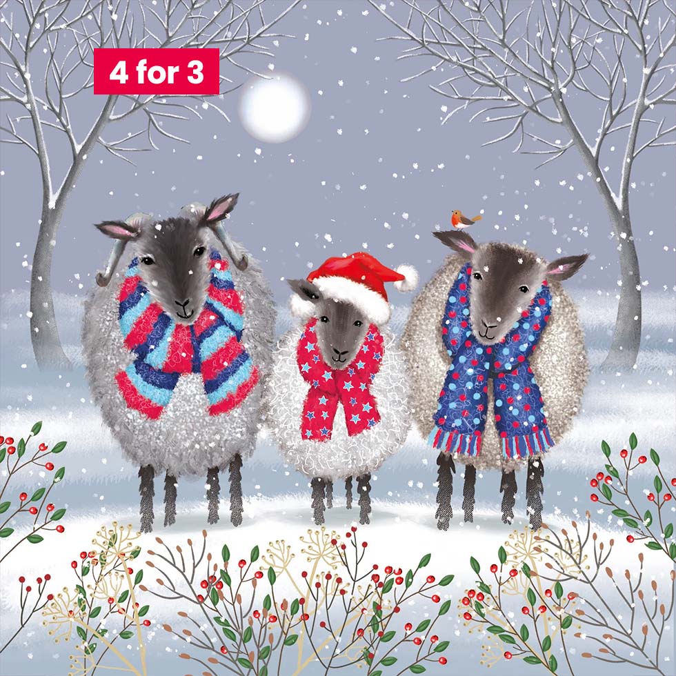 Charity Christmas Cards - Cosy Sheep 10pk