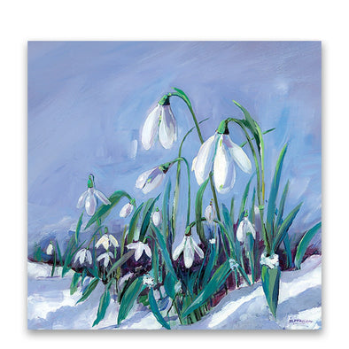 Help for Heroes Snowdrops Charity Christmas Cards - Pack of 10