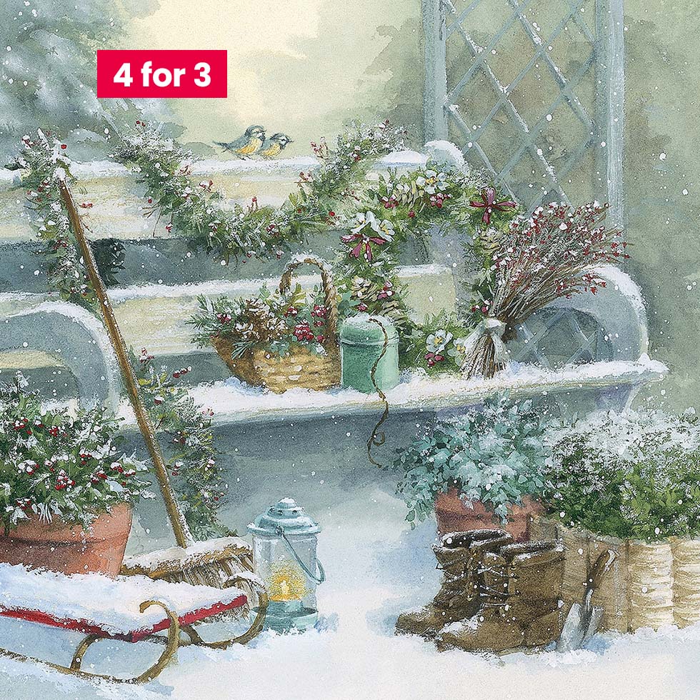 Charity Christmas Cards - Winter Garden 10pk